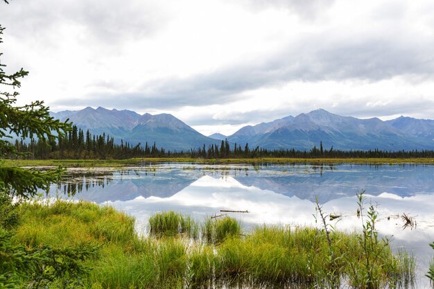 Serenity lake in alaskan tundra