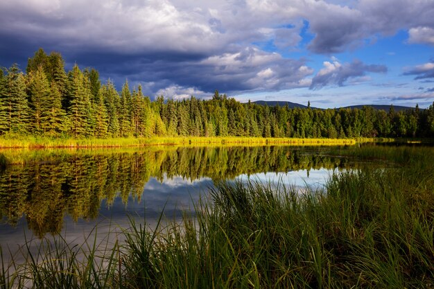 Lago di serenità nella tundra dell'alaska