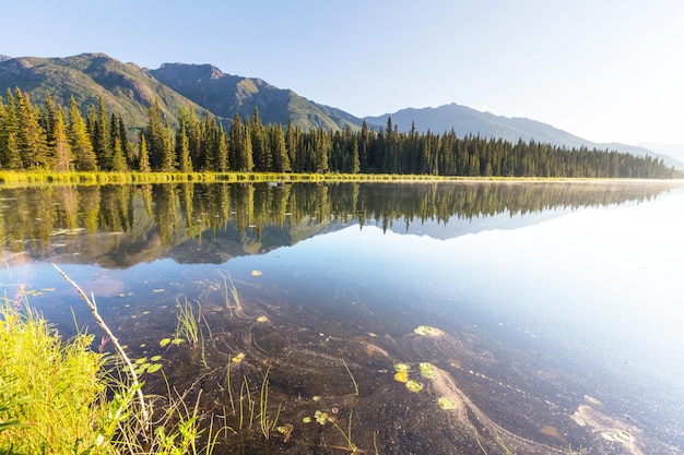 Lago serenity nella tundra dell'alaska