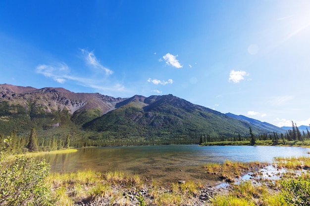 Serenity lake in alaskan tundra