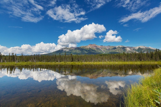 Serenity lake in Alaskan tundra