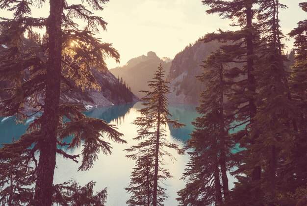 Lago di serenità in montagna nella stagione estiva. bellissimi paesaggi naturali.