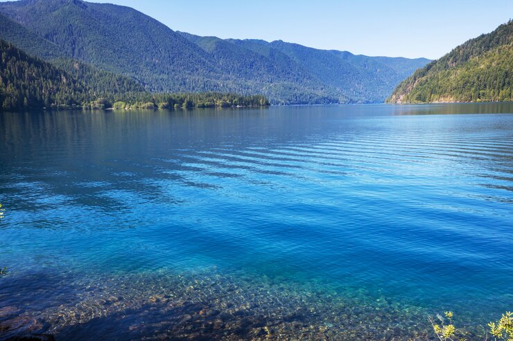 Photo 夏の山の静けさの湖。美しい自然の風景。
