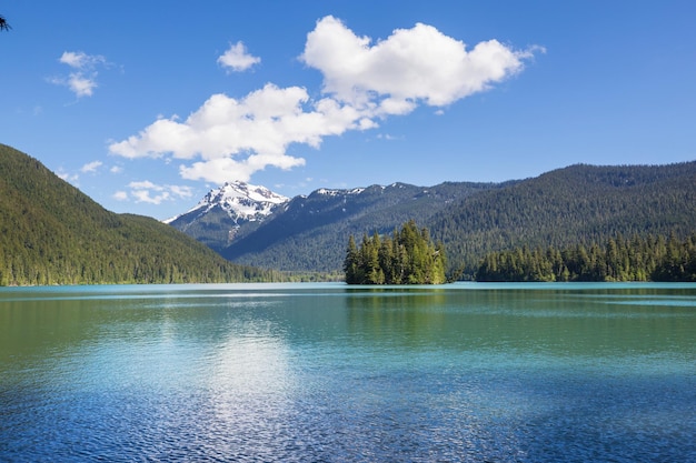 夏の山の中の静けさの湖美しい自然の風景