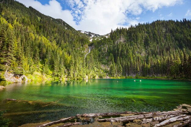 Serenity lake in the mountains in summer season.