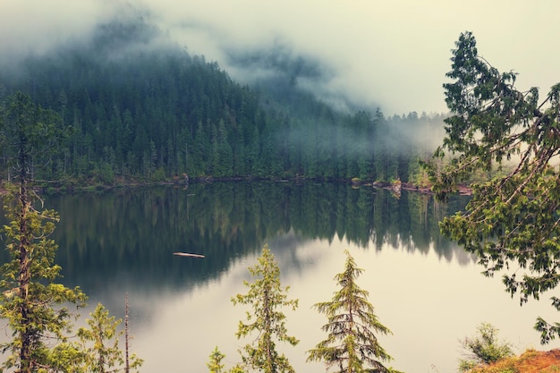 Serenity lake in the mountains