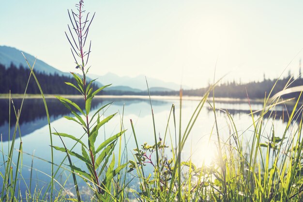 Foto serenity-meer in de toendra van alaska