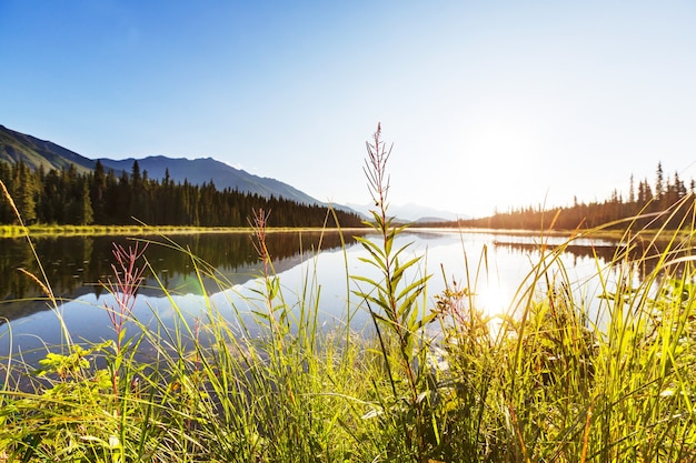 Serenity-meer in de toendra van Alaska