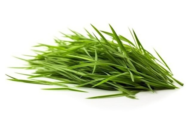 Serenity in Motion Graceful Green Reeds Dancing on a White Isolated Background