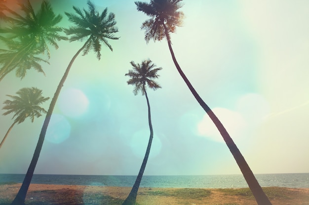 Photo serenity tropical beach, instagram filter