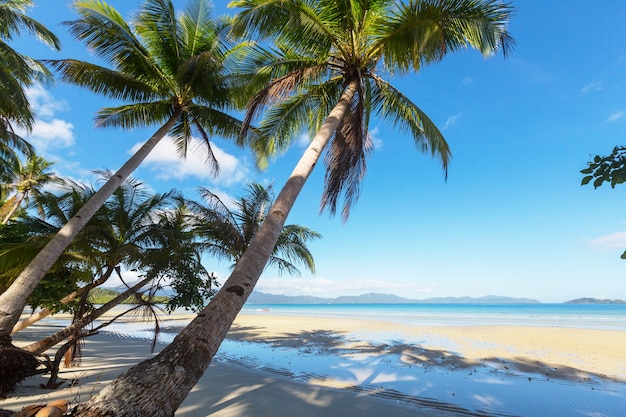 Serenity tropical beach, Instagram filter