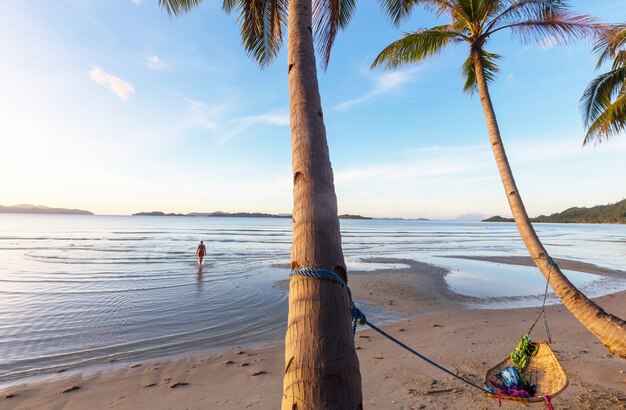 Serenity tropical beach