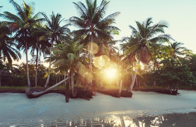 Serenity tropical beach