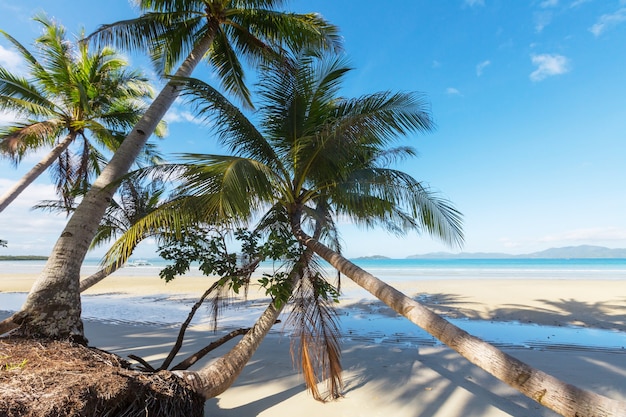 Serenity on the tropical beach