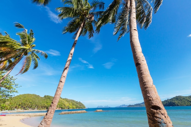 Serenity tropical beach