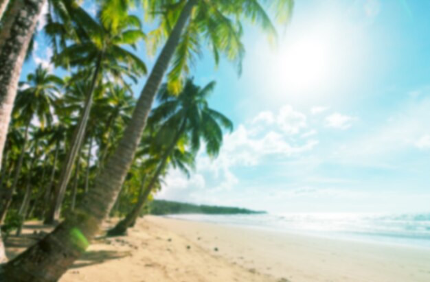 Serenità spiaggia tropicale