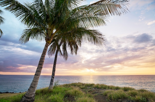 Serenity on the tropical beach