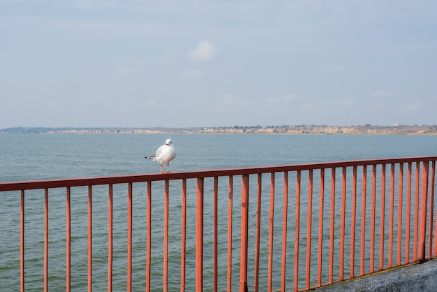 Sergeevka-resort in de regio Odessa, Oekraïne, op een zonnige herfstochtend