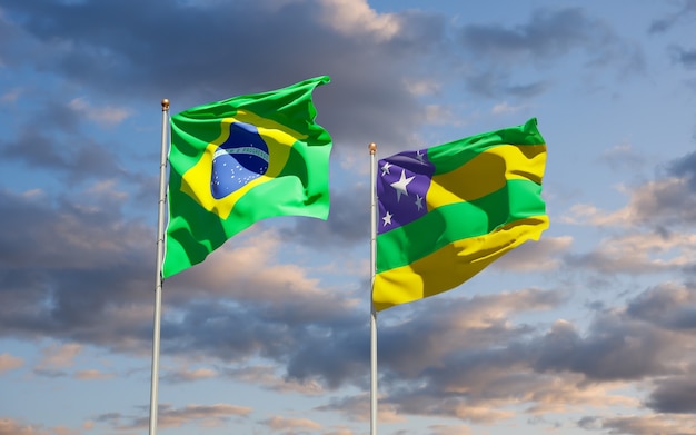 Сержипи Бразилия Государственный флаг. 3D изображение