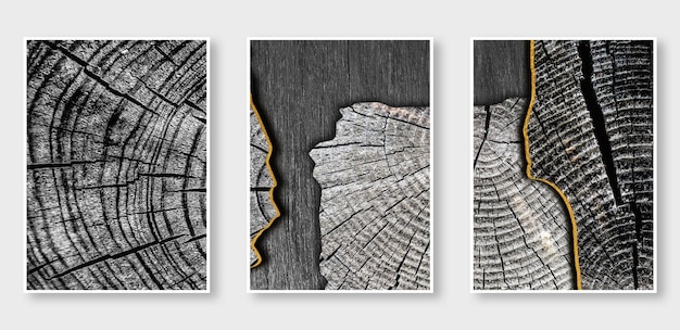 A series of three images of a tree stump with the words'wood'on it