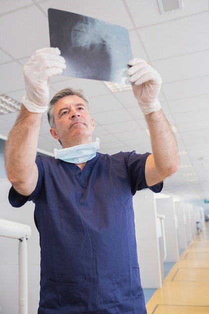 Serious dentist examining a x-ray 