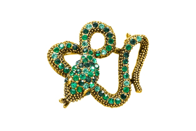 Serpent brooch isolated