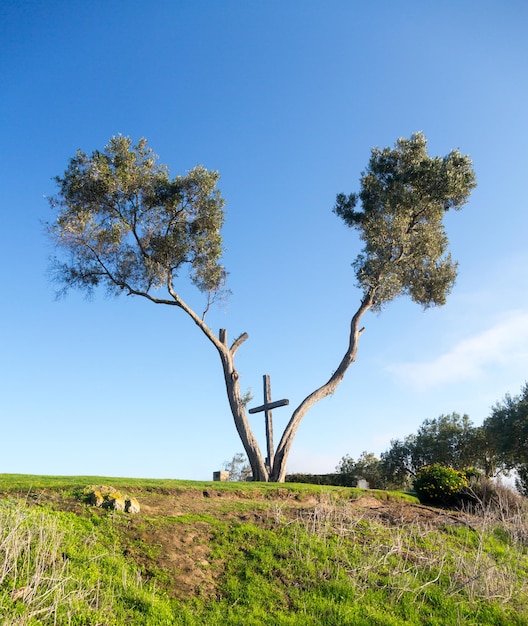 Serra Cross in Ventura Californië tussen bomen