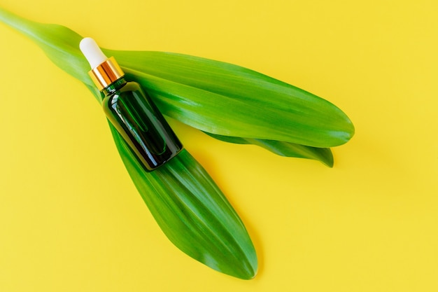 Serumfles op groen blad. Trendy beautyproduct voor de jonge huid. Extra hydraterende stap in de dagelijkse gezichtsroutine.