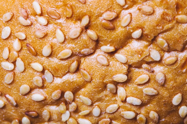 Sesame Bun Close-up, Macro