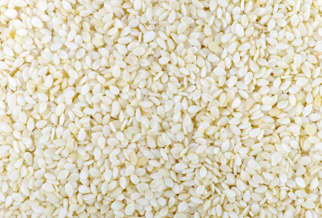 Photo sesame seeds