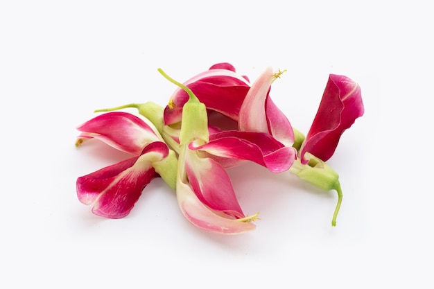 Sesbania Grandiflora on white background.