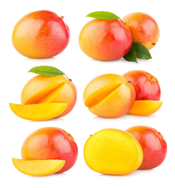 Set of 6 mango images