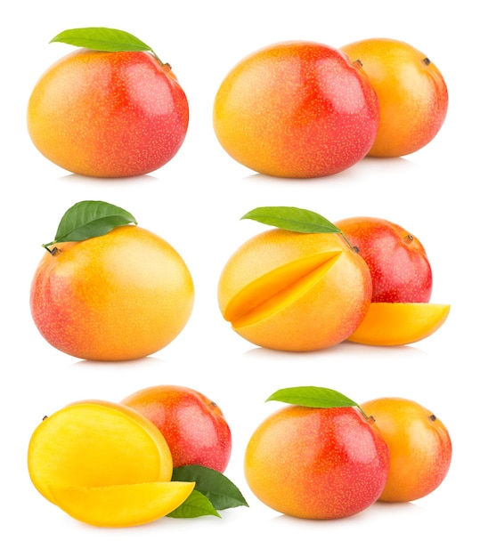 Set of 6 mango images