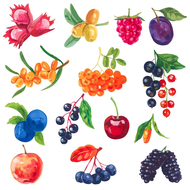 Photo set of acrilyc or gouache juicy ripe berries on white