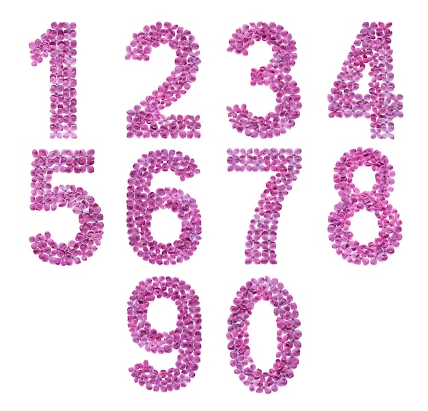 Set of arabic numbers natural flowers of lilac isolated on white background