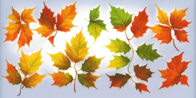 Set of autumn leaves on a light background