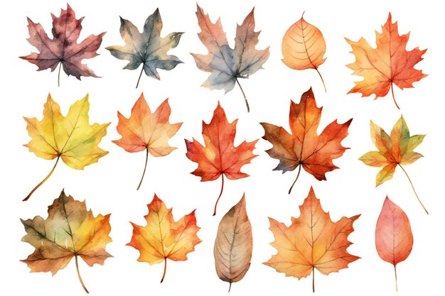 秋の葉のセットと水彩の背景