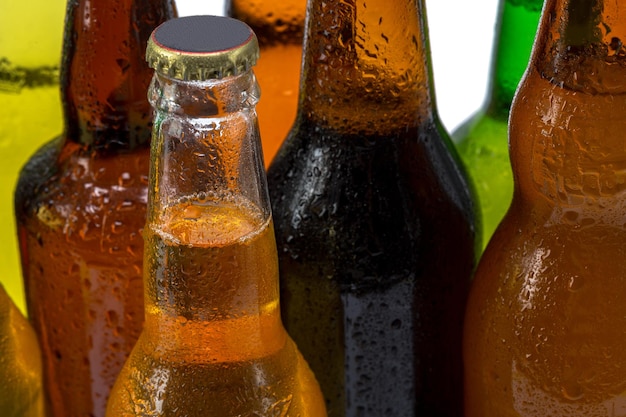 Set of beer bottles isolated