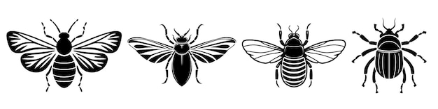 Photo set beetles insect black silhouette animal vector illustrator