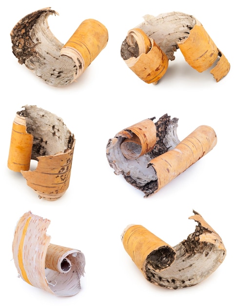 Set of Birch bark on white background