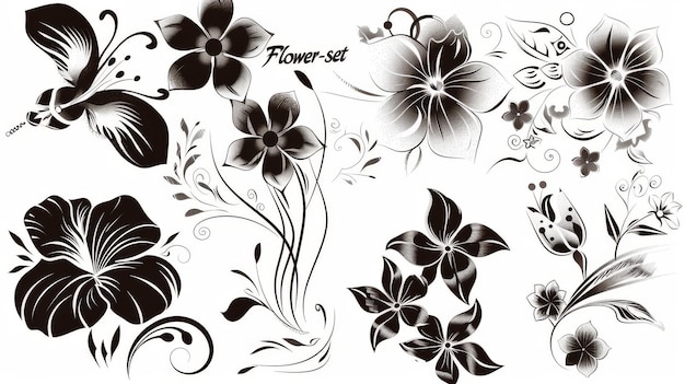 Foto un set di fiori neri elementi di design dalla mia grande collezione di 