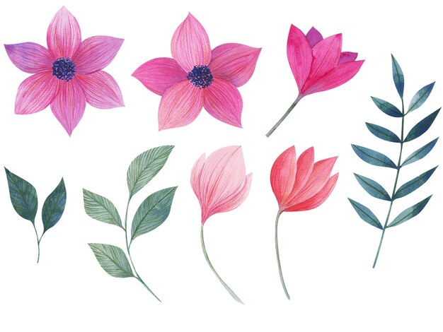 Foto set bloemen getekend met aquarelvoor het ontwerp van het behang of de stof vintage stijlbloeiende bloem schilderij voor de zomerbotanische clipart