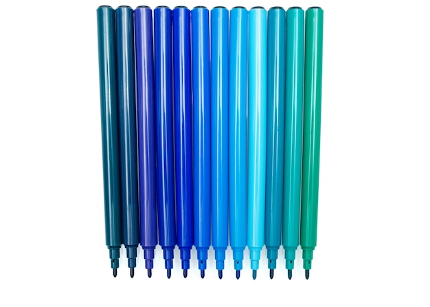 Blue Felt Pen Set