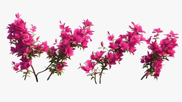 Set of Bougainvillea flower plants Generative AI