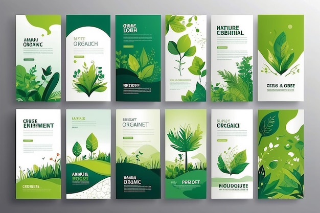 Set of brochure and annual report cover design templates on the subject of nature