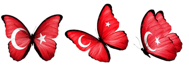 흰색 배경에 고립 된 날개에 터키의 국기와 함께 나비의 집합입니다. 고품질 사진