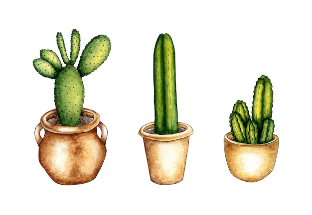 Set cacti watercolor pots