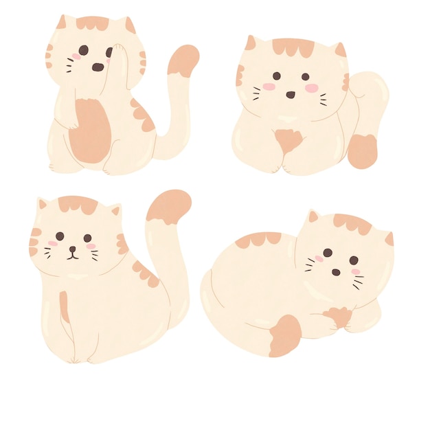 고양이 스티커 설정
