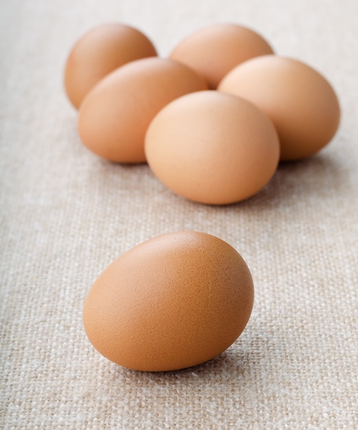 set of chicken eggs close up