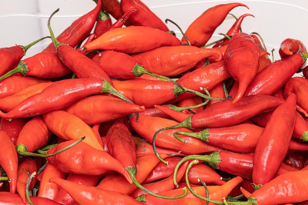 Set of collected pepper berries